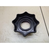 Болт крепления запасного колеса VAG Jetta (2006 - 2011) 1K0803899E
