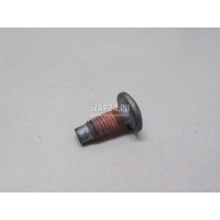 Болт Renault Trafic (2001 - 2014) 8200697105