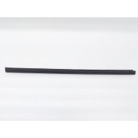 Уплотнитель стекла двери Ford Kuga CBS 2014 5276031, CJ54-S20571-AH