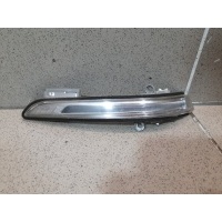 Повторитель в зеркало Hyundai Genesis G80 87613B1000