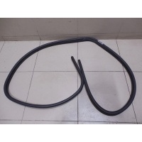 Уплотнитель двери FORD Kuga 2008-2012 1761241