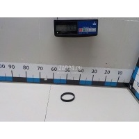 Кольцо уплотнительное (двигатель) BMW X6 E71 (2008 - 2014) 13712247395