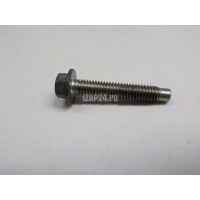 Болт клапанной крышки Renault Fluence (2010 - 2017) 7703002637