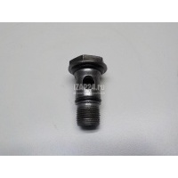 Штуцер VAG A1 (8X) (2010 - 2018) WHT005635