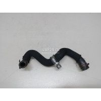 Шланг системы охлаждения VAG Allroad quattro (2012 - 2019) 4G0121448AG