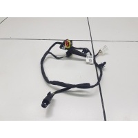 Электропроводка подсветки номера Haval F7 2019- 4013108XKQ00A
