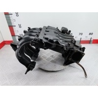 Коллектор впускной Volkswagen Bora (1998-2005) 1999 06A133206H,06A133205K