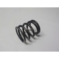 Пружина клапана VAG A2 [8Z0] (2000 - 2005) 038109623F