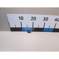 Крепеж газового упора VAG A6 [C6,4F] (2004 - 2011) 2K0827439B