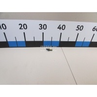 Крепеж газового упора VAG A6 [C6,4F] (2004 - 2011) 2K0827439B