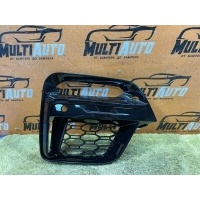 Решетка в бампер Перед. BMW X3, X4 G01, G02 2017-2022 51118065096