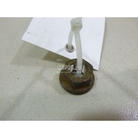 Гайка Nissan Qashqai (J10) (2006 - 2014) 01225N0011