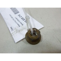 Гайка Nissan Qashqai (J10) (2006 - 2014) 01225N0011