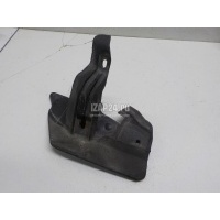 Брызговик задний правый VAG Octavia (A5 1Z-) (2004 - 2013) 1Z0853834