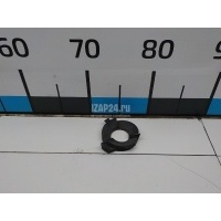Крепеж фары VAG Octavia (A5 1Z-) (2004 - 2013) 1Z0941231