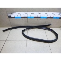 Уплотнитель (наружный) Renault Sandero (2009 - 2014) 8200733152