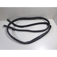 Уплотнитель (внутри) Renault Kangoo 2008 8200425635