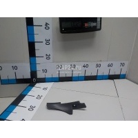 Крышка петли капота Renault Duster 2012 668220006R