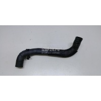 Патрубок радиатора Ford Mondeo V 2015 5334119