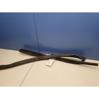 Уплотнитель стекла двери задний правый Toyota RAV 4 2019- 6814242061