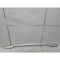 Рейлинг правый Renault Megane 3 2010 738200019R