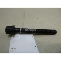 Болт головки блока VAG A6 [C4] (1994 - 1997) 049103384B