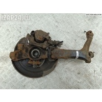 Кулак (корпус ступицы) передний левый Volkswagen Passat B5+ (GP) 2003 8D0407253C