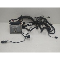 Проводка двигателя Volkswagen Passat B5+ (GP) 2002 038906019GQ
