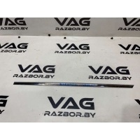 Накладка двери задней левой Volkswagen Passat B6 2008 3C0853753C