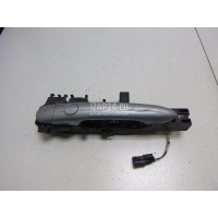 Кронштейн ручки Renault Megane II (2003 - 2009) 8200388111