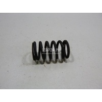 Пружина клапана GM Corsa C (2000 - 2006) 24469162