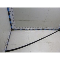 Молдинг крыши правый Renault Scenic II (2003 - 2009) 7701208103