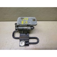 Петля двери передней правой нижняя VAG Passat [B6] (2005 - 2010) 3C8831412B
