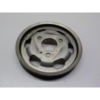 Шкив насоса гидроусилителя Renault Kangoo (1997 - 2003) 8200660888