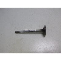 Клапан впускной GM Signum (2003 - 2008) 641073