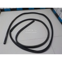 Уплотнитель двери Ford Focus II (2008 - 2011) 1495864