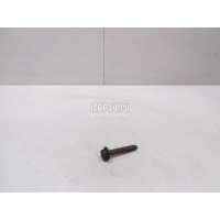Болт заднего рычага VAG Tiguan (2007 - 2011) N10416201