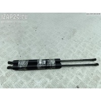 Амортизатор крышки (двери) багажника Renault Modus 2004 8200219323