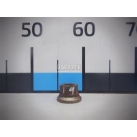 Гайка колеса Iveco L2000 1995 504071277