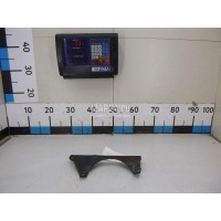 Кронштейн (сопут. товар) MAN TGS (2007 - 2014) 81155025285
