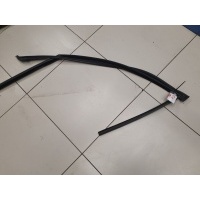 Направляющая стекла передней левой двери BMW 7 G11 G12 2015- 51339481271