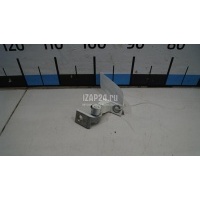 Петля двери VAG Q3 (8U) (2012 - 2018) 8V0831401