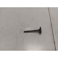 Клапан впускной VAG Octavia (A4 1U-) (2000 - 2011) 038109601E