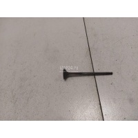 Клапан выпускной Nissan Qashqai+2 (JJ10) (2008 - 2014) 13202ED000