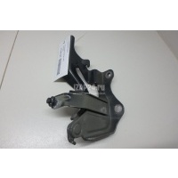 Петля капота правая GM Captiva (C140) (2011 - 2016) 95049937