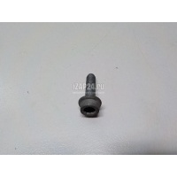 Болт VAG Allroad quattro (2012 - 2019) N10702603