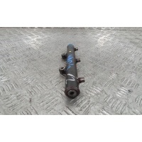 Топливная рампа дизельная LAND ROVER RANGE ROVER SPORT (2005-2013) 2005 1369551