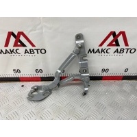 петля багажника AUDI A6 с5 1998 (1997-2005) 4b5827302, <strong>-Б/У Детали сняты с АВТОМОБИЛЯ</strong>