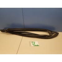 Уплотнитель стекла задней правой двери Ford Focus 2 2005-2008 1684963