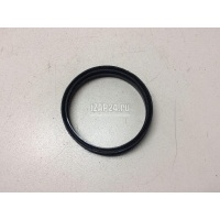 Кольцо уплотнительное (двигатель) Nissan Primera WP11E (1998 - 2001) 1734279900